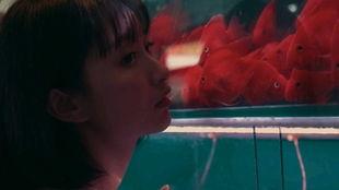 少女吃瓜传,揭秘校园八卦背后的青春故事