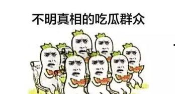 不明觉厉的吃瓜群众