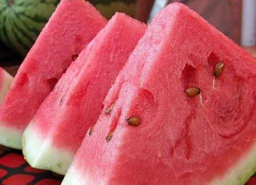 瓜吃冰,探寻瓜吃冰的独特魅力